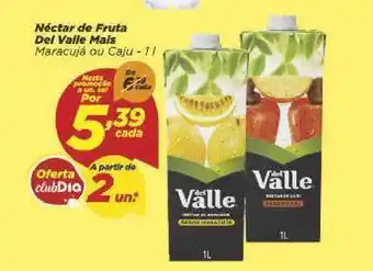 Dia Néctar De Fruta Del Valle Mais Maracujá Ou Caju 1L oferta
