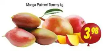 Manga Palmer/ Tommy 1kg