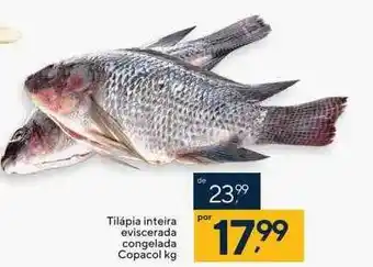 Coop Tilápia inteira eviscerada congelada copacol oferta
