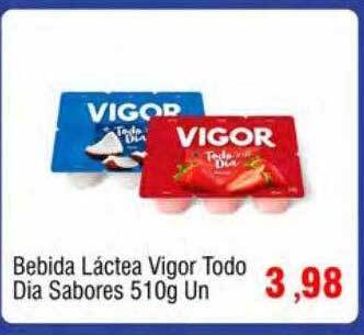Spani Atacadista Bebida láctea vigor todo dia sabores oferta