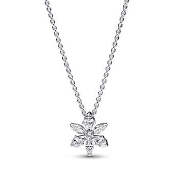 Pandora Colar pendente riqueza botanica brilhante oferta