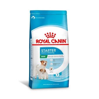 Petz Ração royal canin starter mother e baby para cães de porte mini 1kg oferta