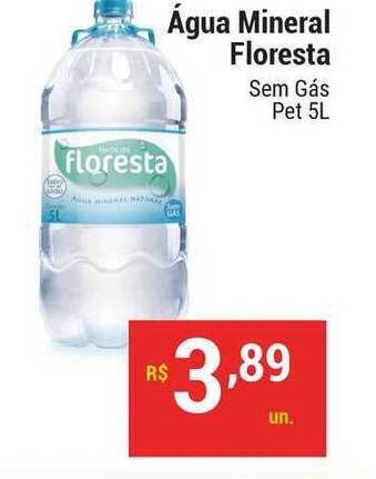 Stok Center água Mineral Floresta Sem Gás 5L oferta