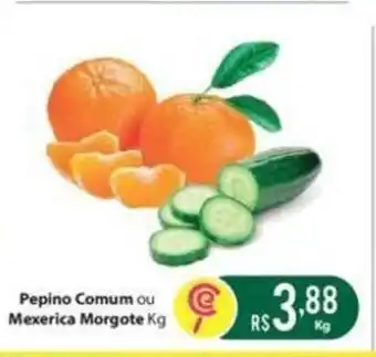 Pepino Comum ou Mexerica Morgote 1kg
