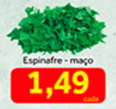 Shibata Supermercados Espinafre - Maco oferta