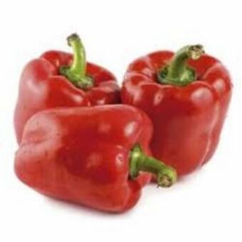 Pimentao vermelho kg