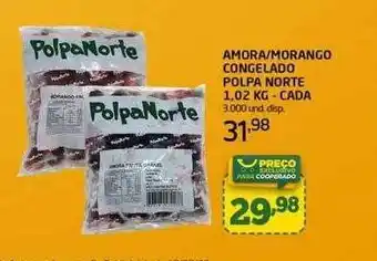 Cooper Amora morango congelado polpa norte cada oferta