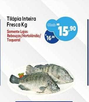 GoodBom Tilápia inteira fresca kg oferta