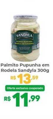 Palmito pupunha em rodela sandyla