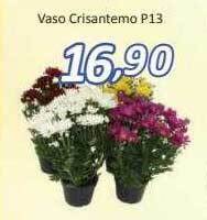 Vaso crisantemo
