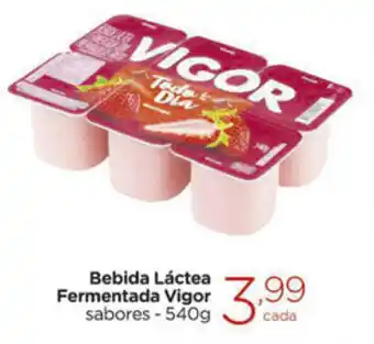 Bebida Lactea Fermentada Vigor 540g