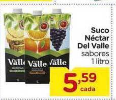 Carrefour Suco Néctar Del Valle 1L oferta