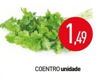 Coentro unidade