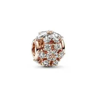 Pandora Charm esferico riqueza botanica brilhante oferta