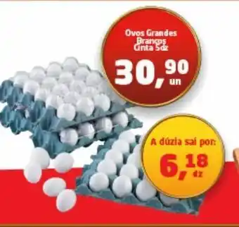 Tenda Atacado Ovos grandes oferta