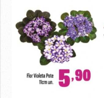 Rede Top Flor violeta pote 11cm un. oferta