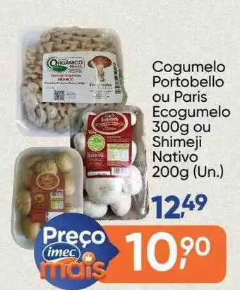 Cogumelo portobello ou paris ecogumelo ou shimeji nativo