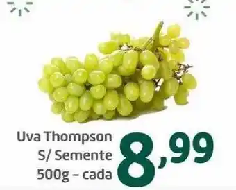 Uva thompson s semente
