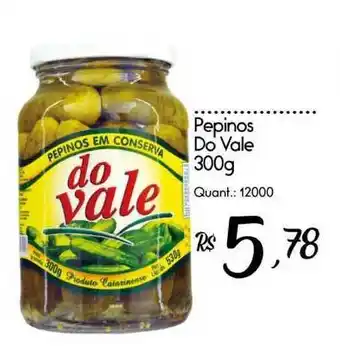 Pepinos Do Vale 300g