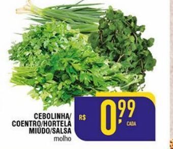 Cebolinha/coentro/hortelã miúdo/salsa molho