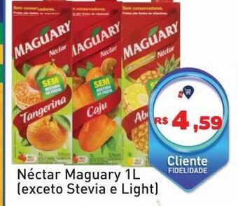 Tonin Superatacado Néctar maguary oferta