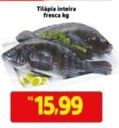 Tilapia inteira fresca 1kg