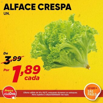 Dia Alface Crespa Und. oferta