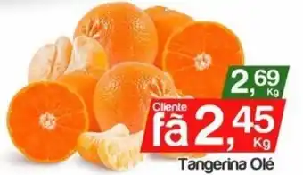 Tangerina Ole 1lg