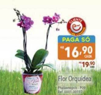 Supermercados Condor Flor orquidea oferta