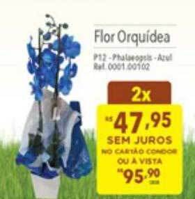 Supermercados Condor Flor orquídea oferta