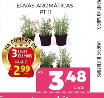 Ervas aromáticas