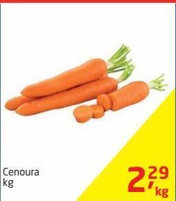 Tenda Atacado Cenoura kg oferta