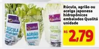 Rucula, agriao ou acelga japonesa hidroponicos embalados Qualita unidade