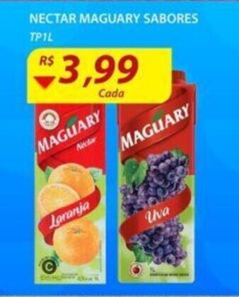 Assaí Atacadista Nectar Maguary Sabores tp 1L oferta
