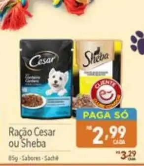 Supermercados Condor Ração cesar ou sheba oferta