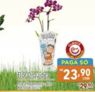 Supermercados Condor Flor orquidea oferta