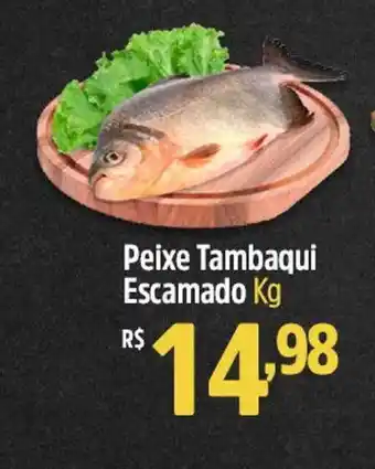 Peixe tambaqui escamado