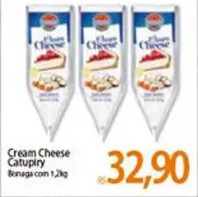 Cream Cheese Catupiry 1.2kg