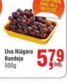 Higa Atacado Uva niágara bandeja oferta