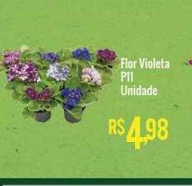 Flor violeta p11 unidade