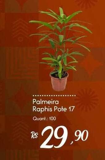 Giassi Supermercados Palmeira raphis oferta