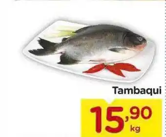 Carrefour Tambaqui oferta