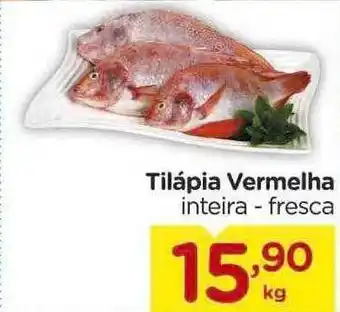 Tilápia vermelha