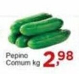 Rossi Supermercado Pepino Comum 1kg oferta