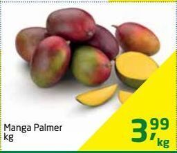 Tenda Atacado Manga palmer kg oferta