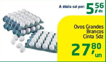 Tenda Atacado Ovos grandes brancos Cinta 5dz oferta