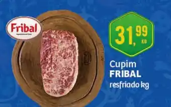 Cupim Fribal 1kg