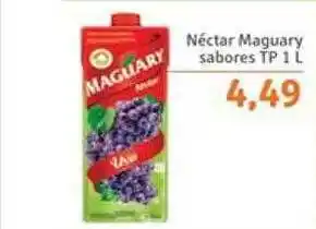 Sonda Néctar maguary sabores oferta