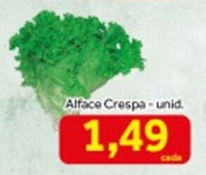 Alface Crespa Und.