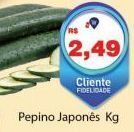 Tonin Superatacado Pepino japonês kg oferta